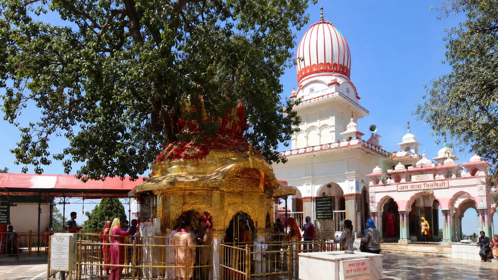 Chhinnamastika (Chintpurni)