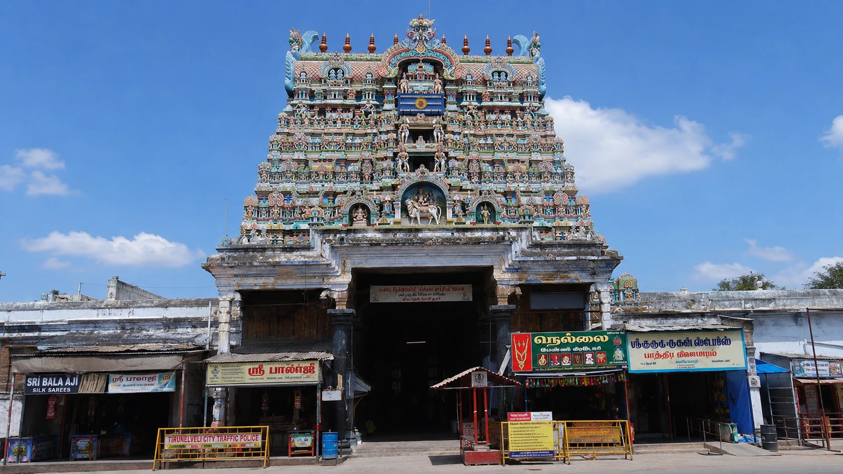Nellaiappar (Tamira Sabha)