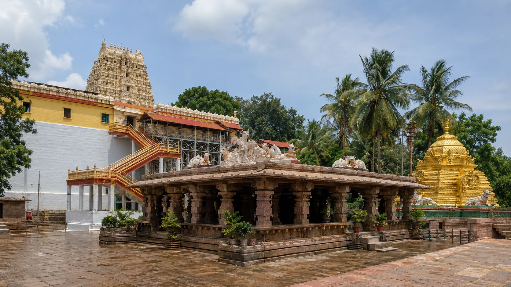 Bhramaramba Devi (Srisailam) — image 2