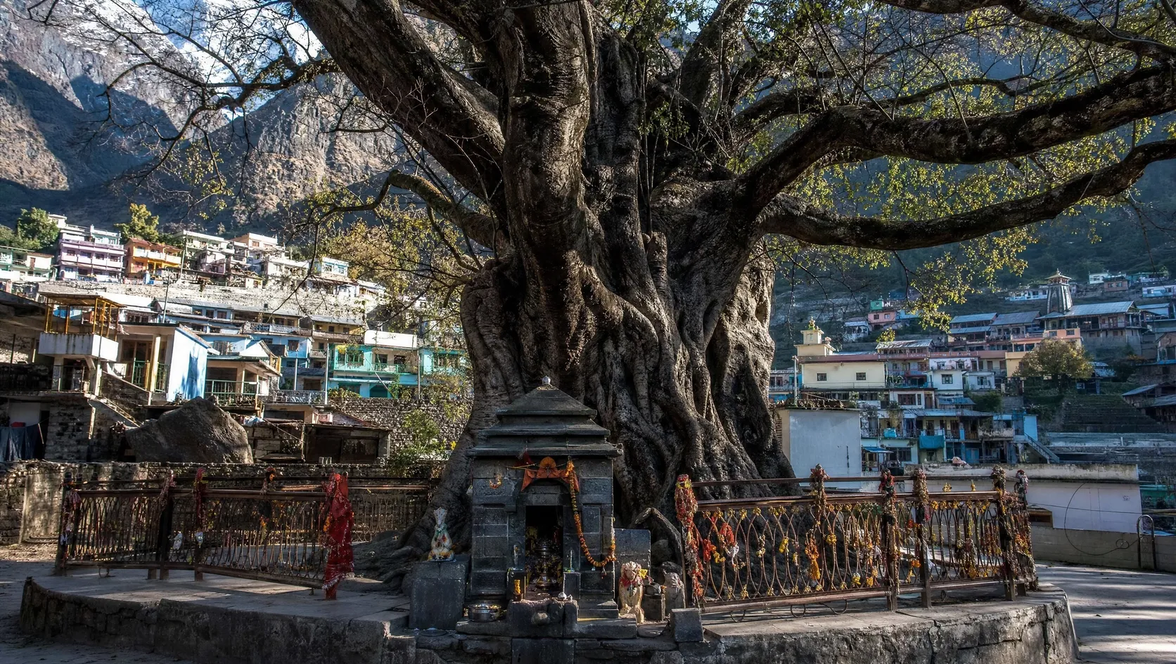 Jyotirmath (Joshimath) — image 2