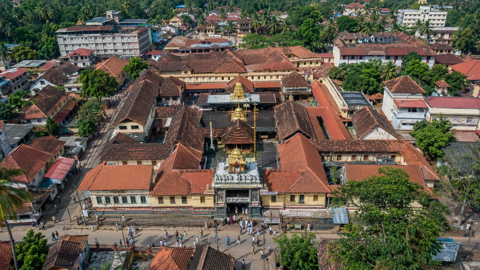 Udupi Krishna — image 3